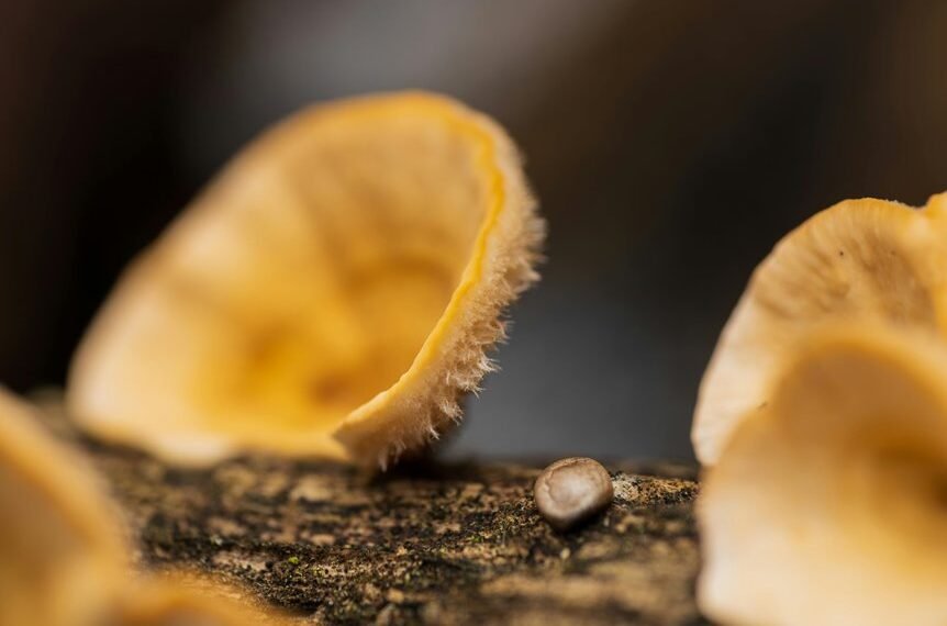 dataset association log analysis