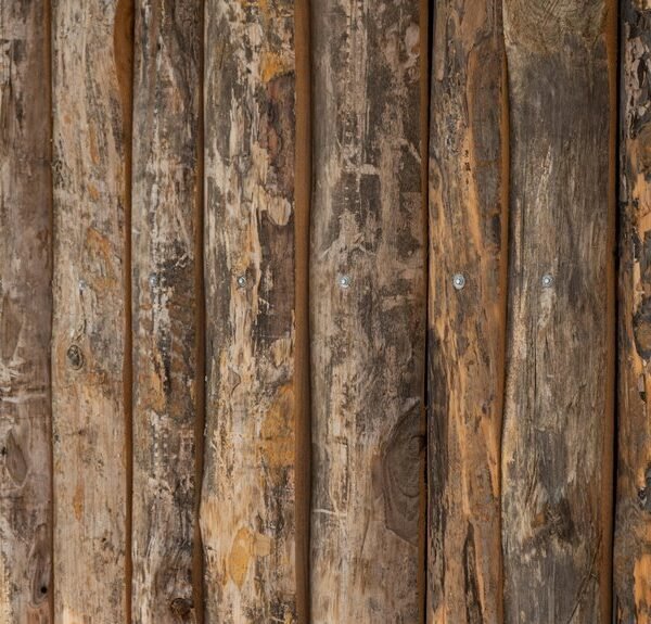 log for structured entries