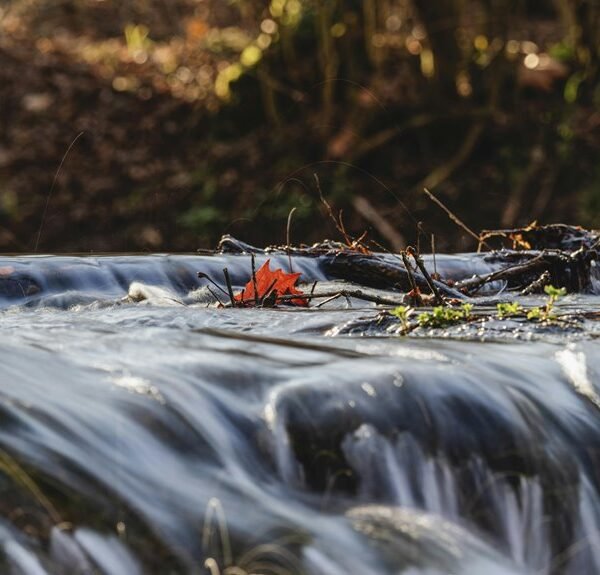 numeric flow synchronization process