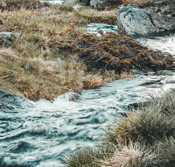 numeric stream harmonisation details