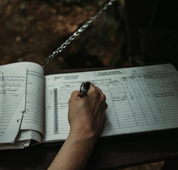 numerical entry compilation docket