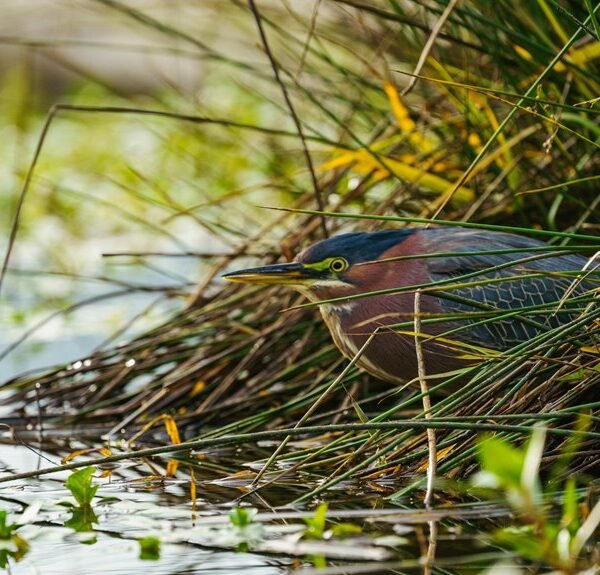 reference stream consolidation process