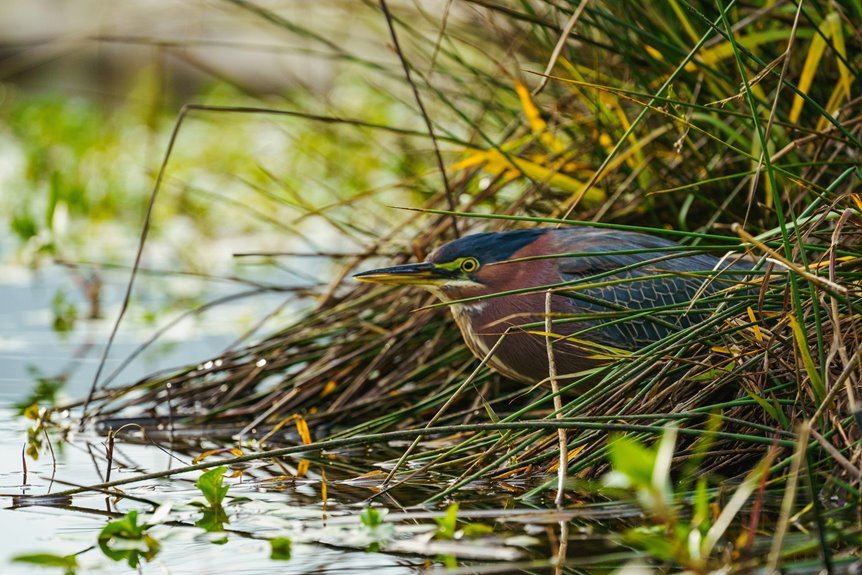reference stream consolidation process